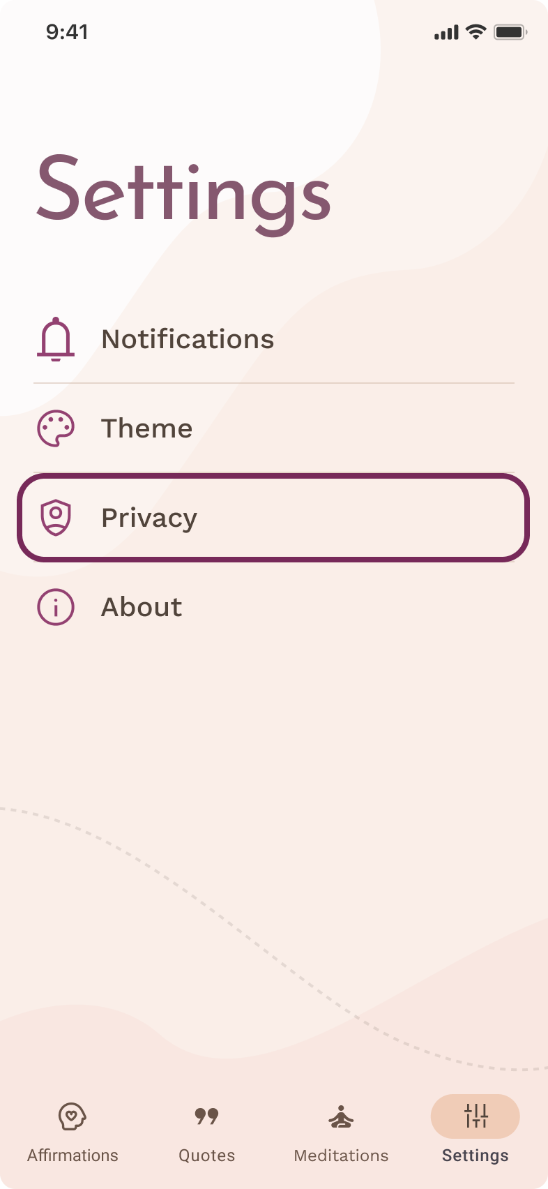 Settings screen with the Privacy row highlighted